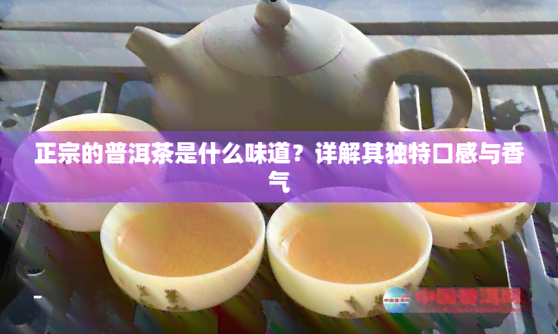 正宗的普洱茶是什么味道？详解其独特口感与香气