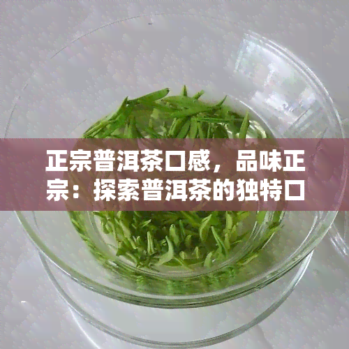 正宗普洱茶口感，品味正宗：探索普洱茶的独特口感