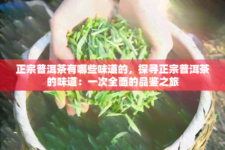 正宗普洱茶有哪些味道的，探寻正宗普洱茶的味道：一次全面的品鉴之旅