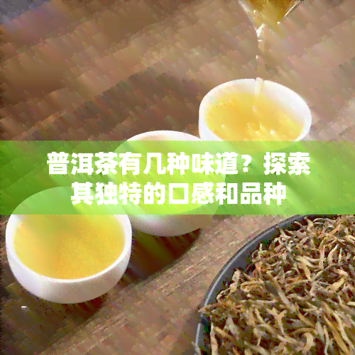 普洱茶有几种味道？探索其独特的口感和品种