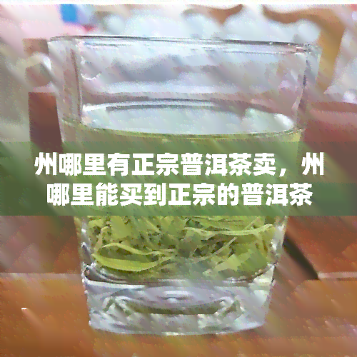 州哪里有正宗普洱茶卖，州哪里能买到正宗的普洱茶？