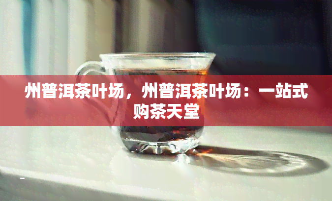 州普洱茶叶场，州普洱茶叶场：一站式购茶天堂