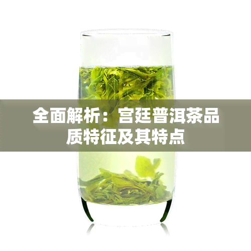 全面解析：宫廷普洱茶品质特征及其特点