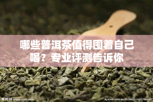 哪些普洱茶值得囤着自己喝？专业评测告诉你