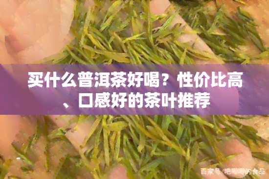 买什么普洱茶好喝？性价比高、口感好的茶叶推荐