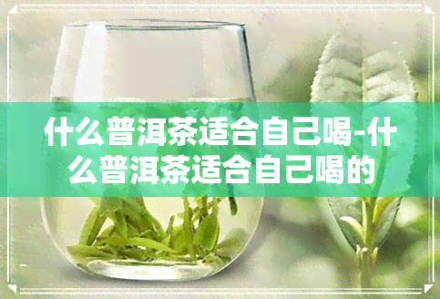 什么普洱茶适合自己喝-什么普洱茶适合自己喝的