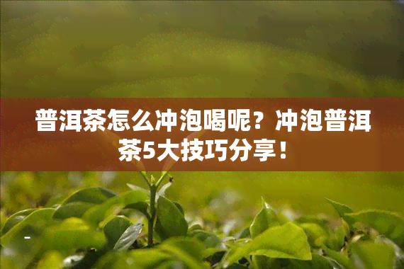 普洱茶怎么冲泡喝呢？冲泡普洱茶5大技巧分享！