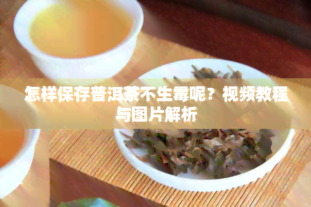 怎样保存普洱茶不生霉呢？视频教程与图片解析