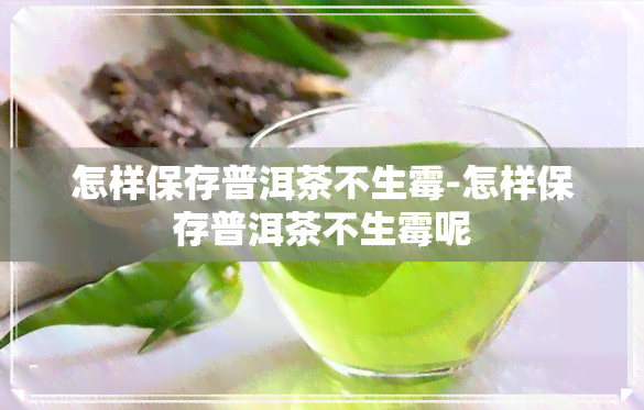 怎样保存普洱茶不生霉-怎样保存普洱茶不生霉呢