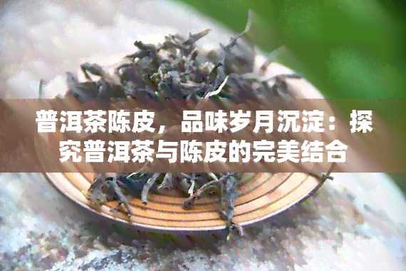 普洱茶陈皮，品味岁月沉淀：探究普洱茶与陈皮的完美结合