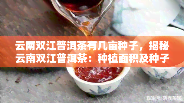 云南双江普洱茶有几亩种子，揭秘云南双江普洱茶：种植面积及种子数量一览