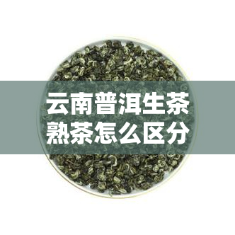 云南普洱生茶熟茶怎么区分，如何区分云南普洱生茶和熟茶？