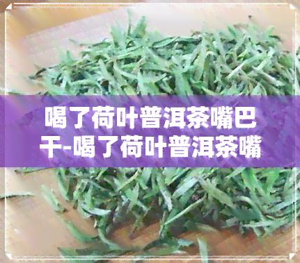 喝了荷叶普洱茶嘴巴干-喝了荷叶普洱茶嘴巴干怎么回事