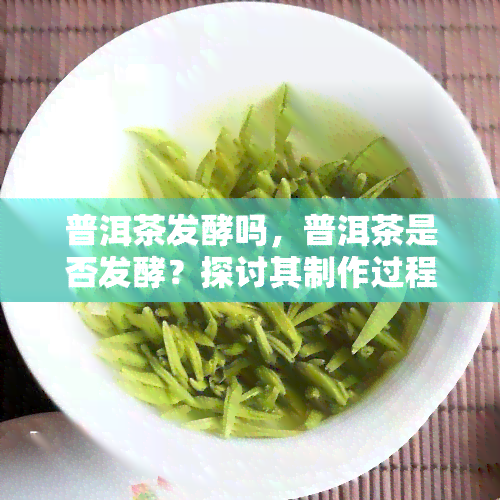 普洱茶发酵吗，普洱茶是否发酵？探讨其制作过程与特点