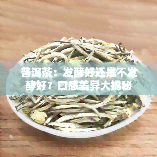 普洱茶：发酵好还是不发酵好？口感差异大揭秘