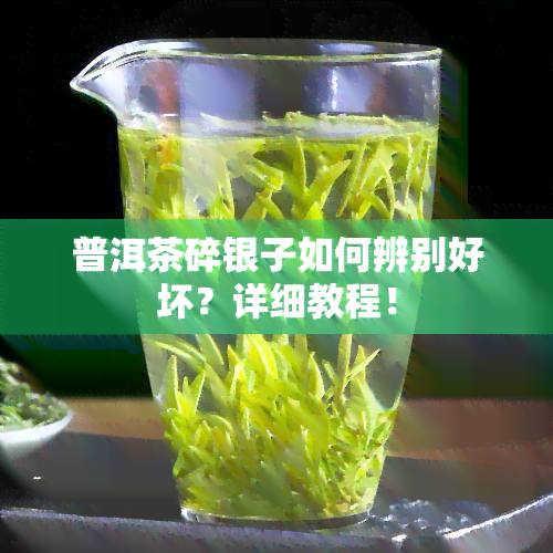 普洱茶碎银子如何辨别好坏？详细教程！