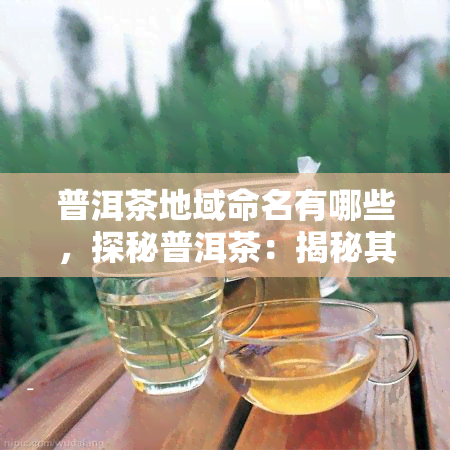 普洱茶地域命名有哪些，探秘普洱茶：揭秘其地域命名的奥秘与魅力