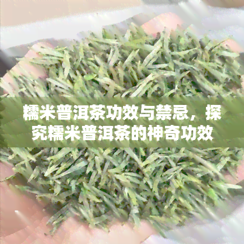 糯米普洱茶功效与禁忌，探究糯米普洱茶的神奇功效及其使用禁忌