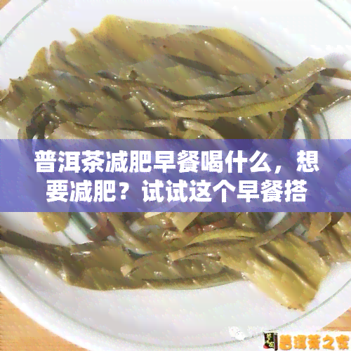 普洱茶减肥早餐喝什么，想要减肥？试试这个早餐搭配：普洱茶 ……