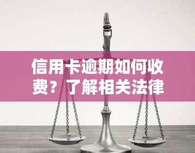 信用卡逾期如何收费？了解相关法律法规与标准