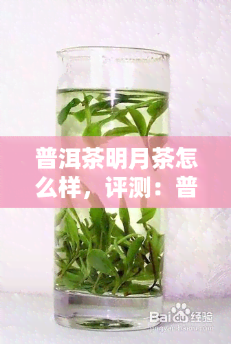 普洱茶明月茶怎么样，评测：普洱茶明月茶，口感如何？