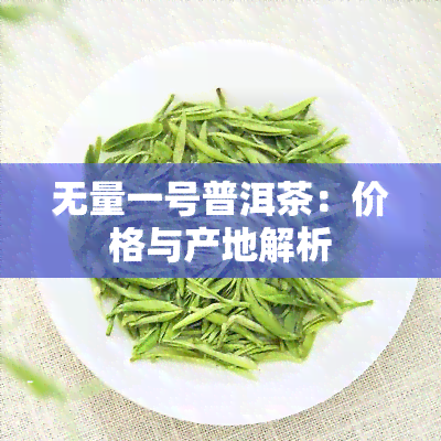 无量一号普洱茶：价格与产地解析