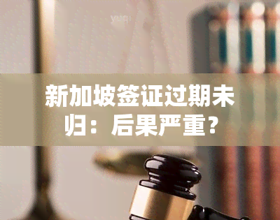 新加坡签证过期未归：后果严重？