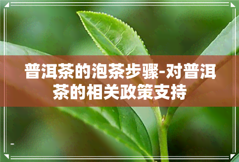 普洱茶的泡茶步骤-对普洱茶的相关政策支持