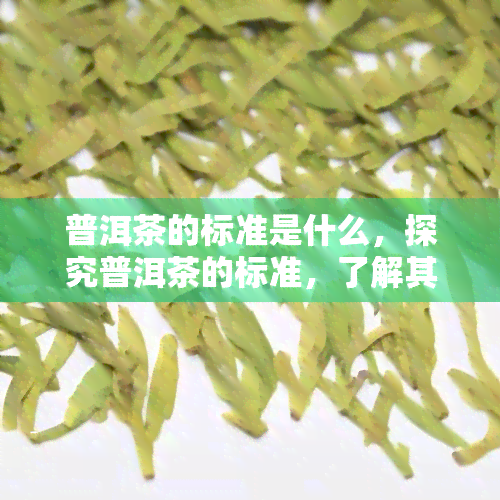 普洱茶的标准是什么，探究普洱茶的标准，了解其品质与规