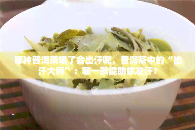 哪种普洱茶喝了会出汗呢，普洱茶中的“出汗大师”：哪一款能助你发汗？