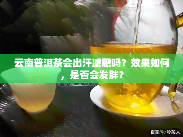 云南普洱茶会出汗减肥吗？效果如何，是否会发胖？