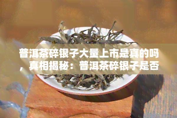 普洱茶碎银子大量上市是真的吗，真相揭秘：普洱茶碎银子是否真的大量上市？