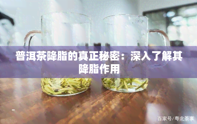 普洱茶降脂的真正秘密：深入了解其降脂作用