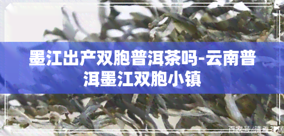 墨江出产双胞普洱茶吗-云南普洱墨江双胞小镇