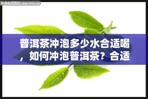 普洱茶冲泡多少水合适喝，如何冲泡普洱茶？合适的水量是多少？