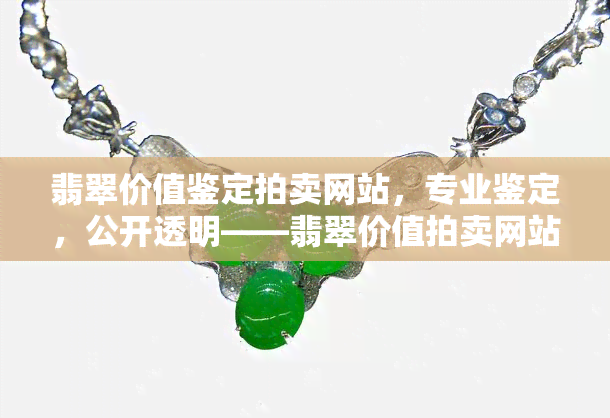 翡翠价值鉴定拍卖网站，专业鉴定，公开透明——翡翠价值拍卖网站