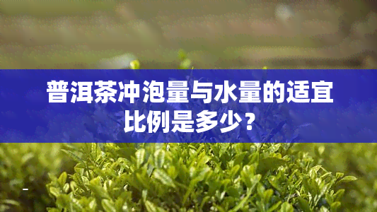 普洱茶冲泡量与水量的适宜比例是多少？