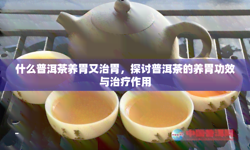 什么普洱茶养胃又治胃，探讨普洱茶的养胃功效与治疗作用