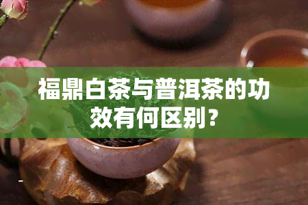 福鼎白茶与普洱茶的功效有何区别？