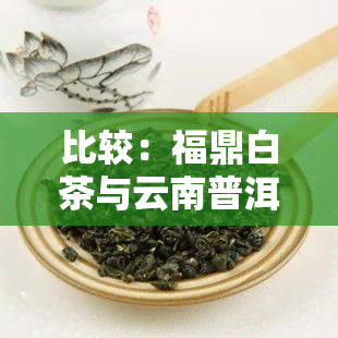 比较：福鼎白茶与云南普洱茶哪个更好？口感、品质全方位分析！