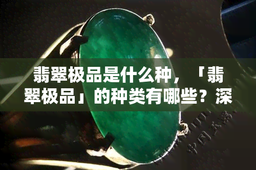 翡翠极品是什么种，「翡翠极品」的种类有哪些？深入解析不同「种水」的差异