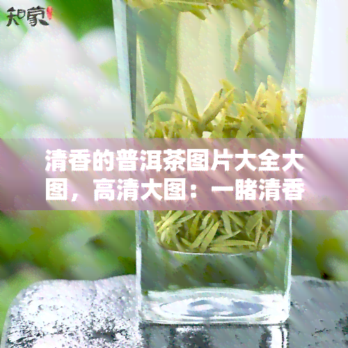 清香的普洱茶图片大全大图，高清大图：一清香普洱茶的魅力