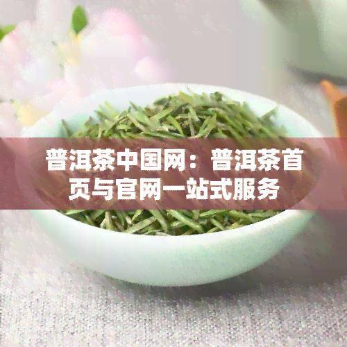 普洱茶中国网：普洱茶首页与官网一站式服务