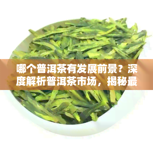 哪个普洱茶有发展前景？深度解析普洱茶市场，揭秘更具潜力的