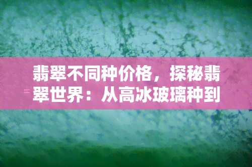 翡翠不同种价格，探秘翡翠世界：从高冰玻璃种到豆种，价格差异究竟有多大？