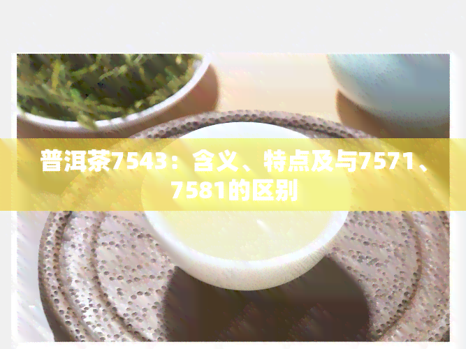 普洱茶7543：含义、特点及与7571、7581的区别