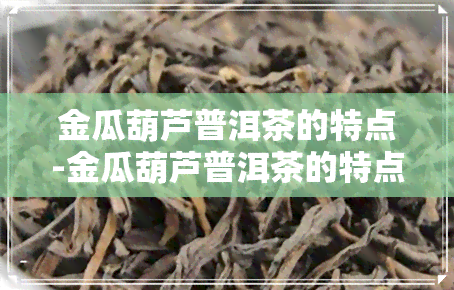 金瓜葫芦普洱茶的特点-金瓜葫芦普洱茶的特点和功效