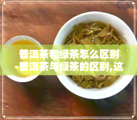 普洱茶和绿茶怎么区别-普洱茶与绿茶的区别,这5点基本说透了!