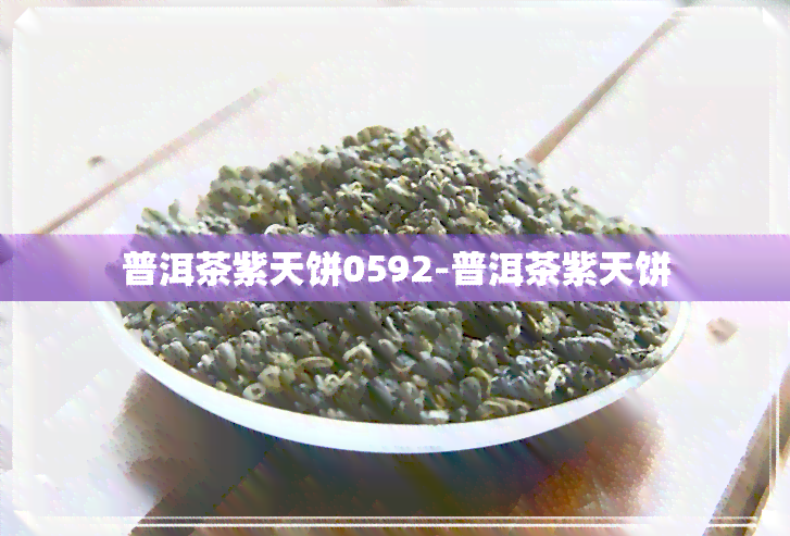 普洱茶紫天饼0592-普洱茶紫天饼