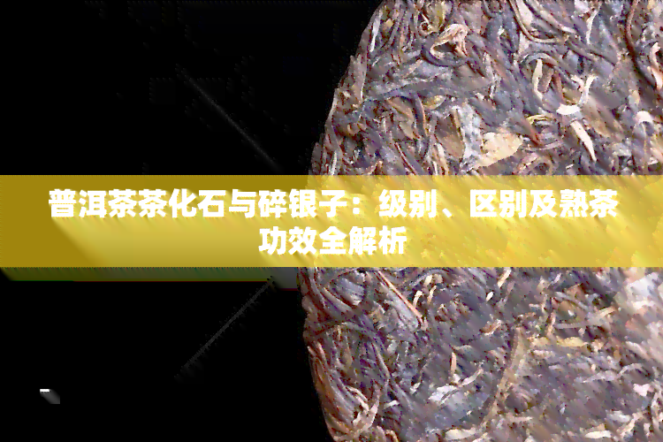 普洱茶茶化石与碎银子：级别、区别及熟茶功效全解析